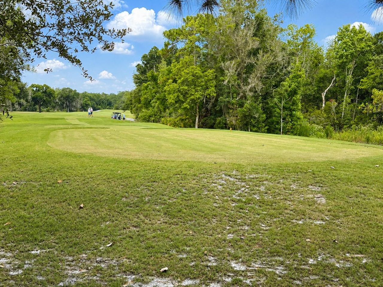 17422 Heather Oaks Place , Tampa, FL 33647 Photo