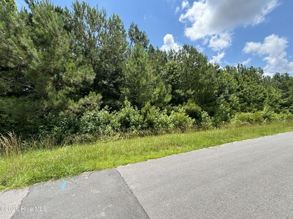 0 Progress Drive , Burgaw, NC 28425