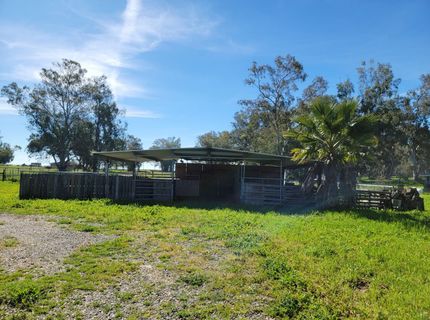 13995 Beskeen Rd, Herald, CA 95638 Photo