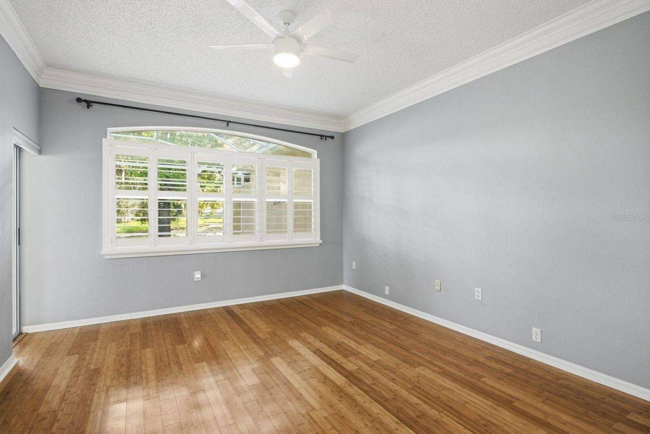 3857 Timber Ridge Court, Palm Harbor, FL 34685 Photo