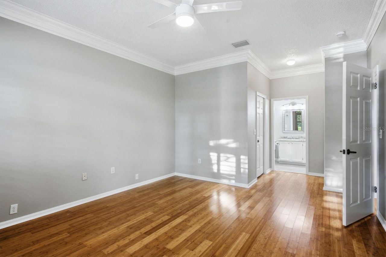 3857 Timber Ridge Court, Palm Harbor, FL 34685 Photo