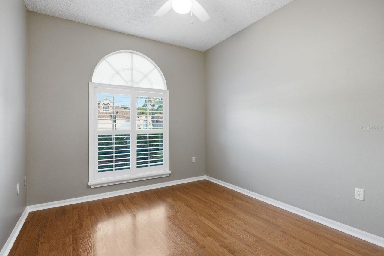 3857 Timber Ridge Court, Palm Harbor, FL 34685 Photo