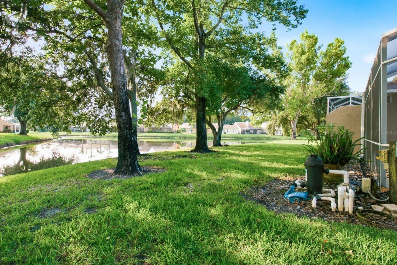 3857 Timber Ridge Court, Palm Harbor, FL 34685 Photo