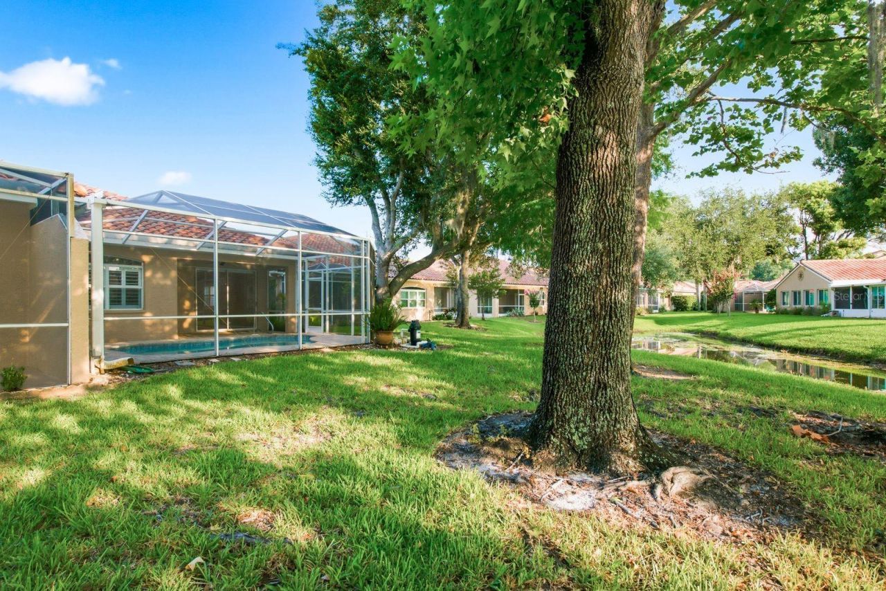 3857 Timber Ridge Court, Palm Harbor, FL 34685 Photo