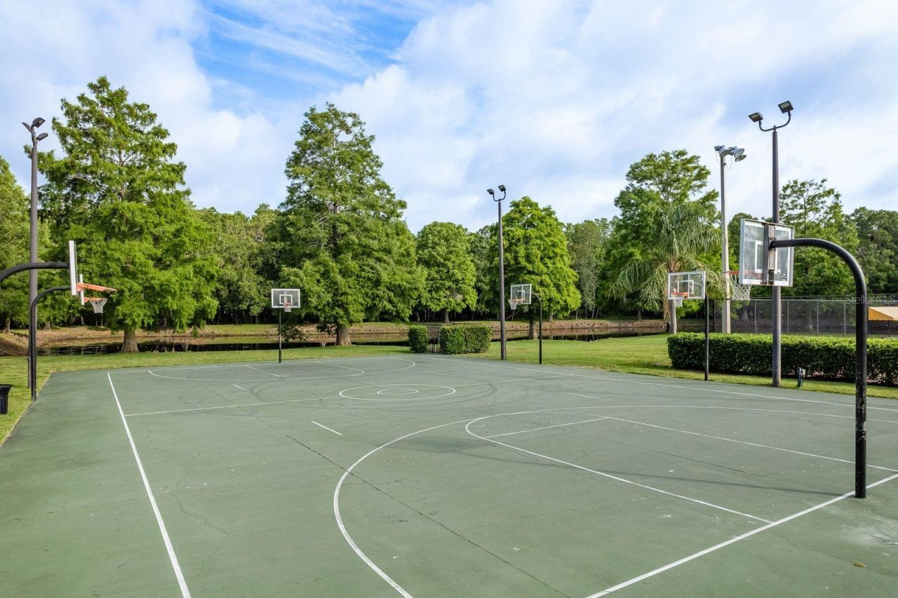 3857 Timber Ridge Court, Palm Harbor, FL 34685 Photo
