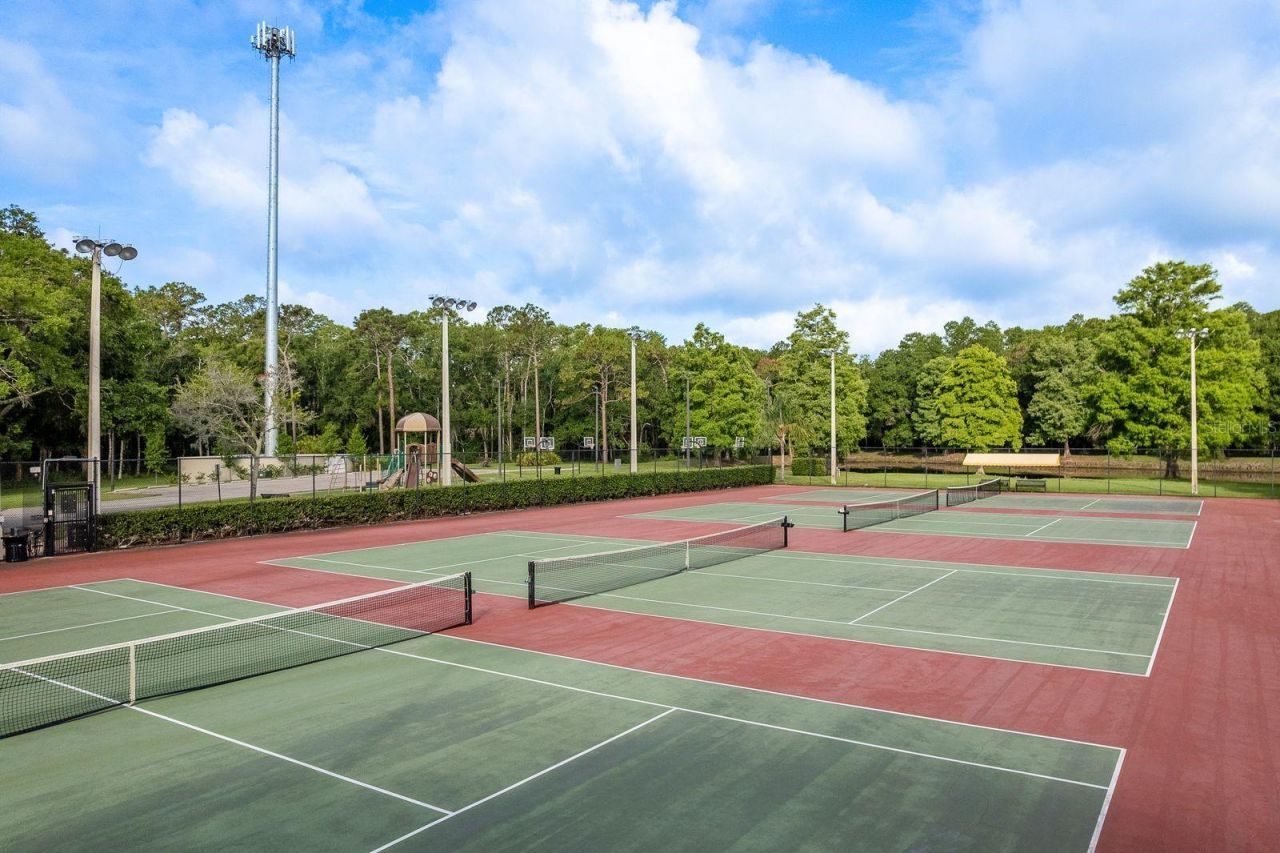 3857 Timber Ridge Court, Palm Harbor, FL 34685 Photo