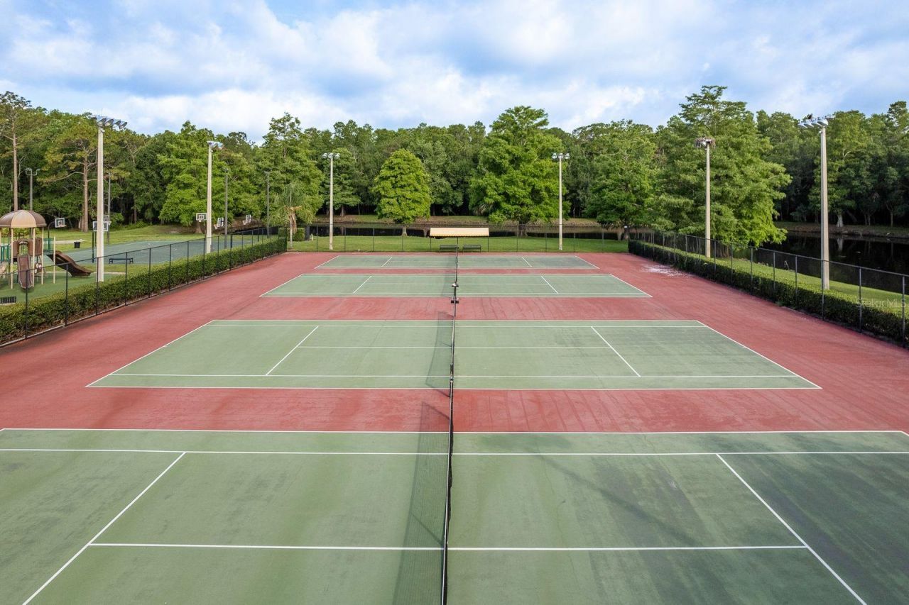 3857 Timber Ridge Court, Palm Harbor, FL 34685 Photo