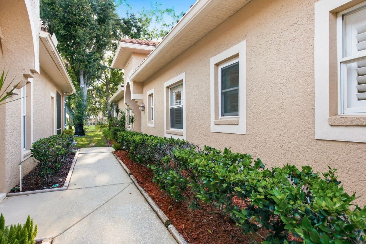 3857 Timber Ridge Court, Palm Harbor, FL 34685 Photo