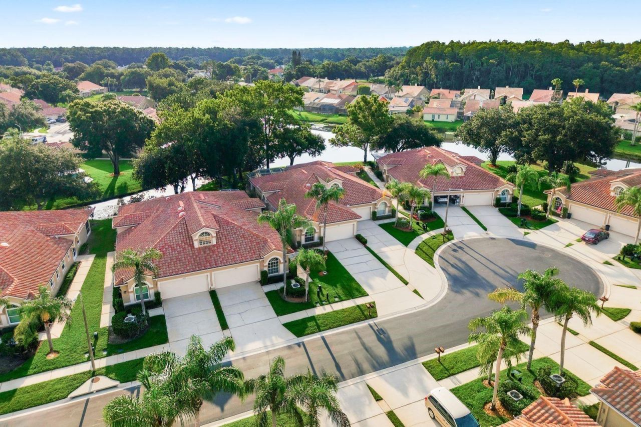 3857 Timber Ridge Court, Palm Harbor, FL 34685 Photo
