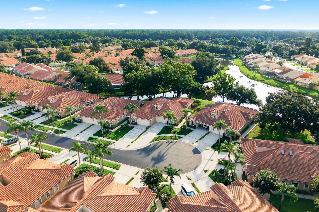 3857 Timber Ridge Court, Palm Harbor, FL 34685 Photo