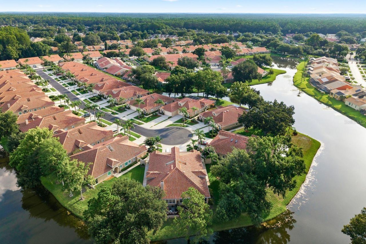 3857 Timber Ridge Court, Palm Harbor, FL 34685 Photo