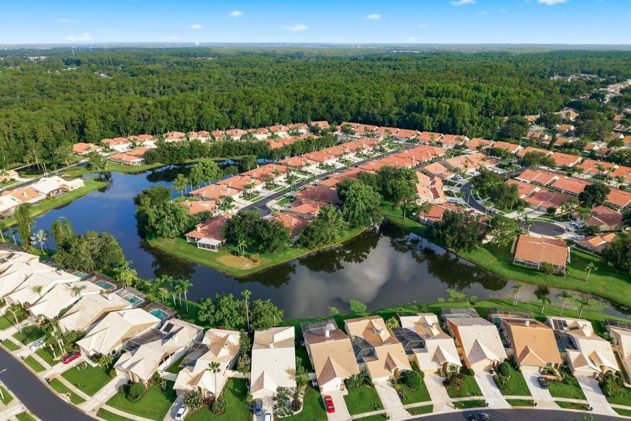 3857 Timber Ridge Court, Palm Harbor, FL 34685 Photo