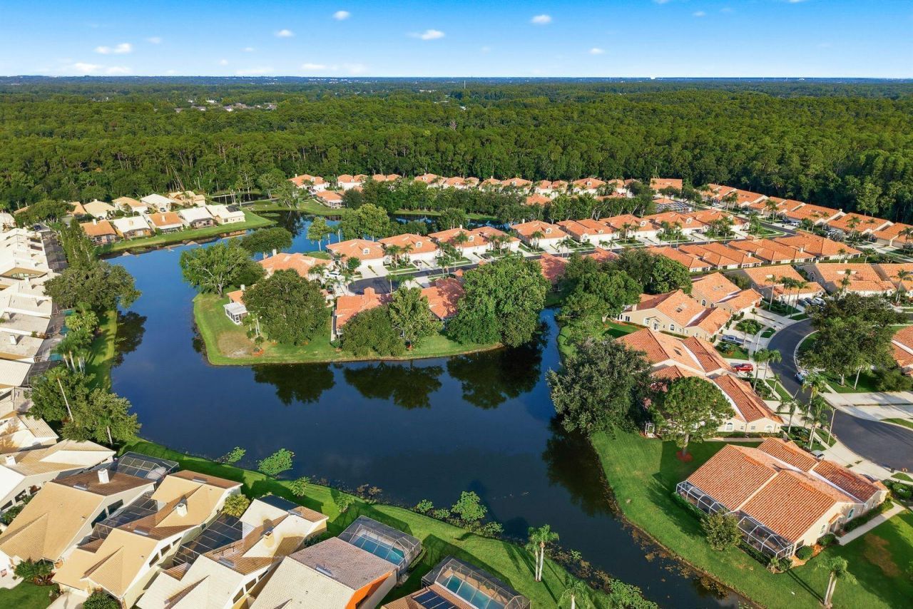 3857 Timber Ridge Court, Palm Harbor, FL 34685 Photo