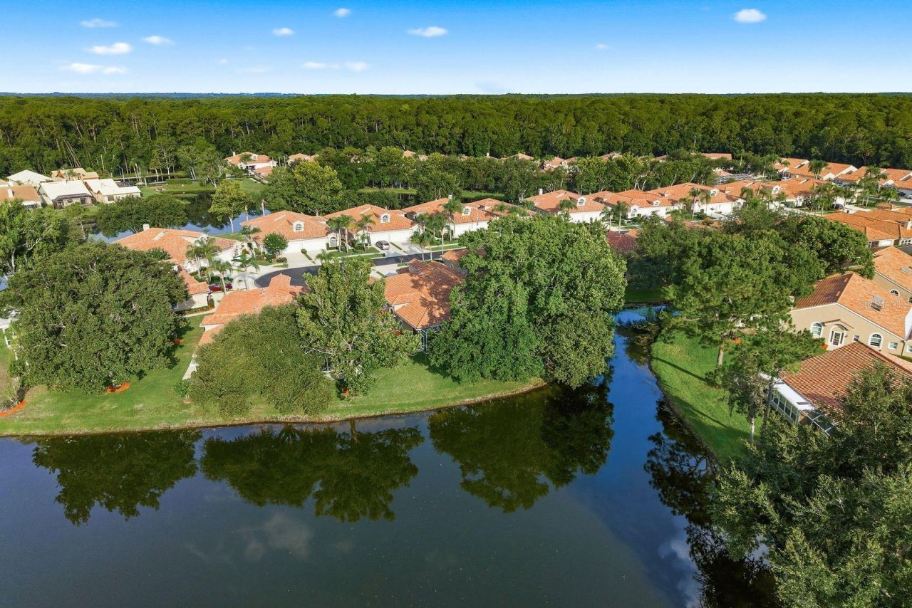 3857 Timber Ridge Court, Palm Harbor, FL 34685 Photo