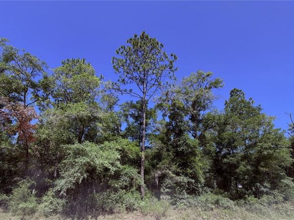 0 NE 90TH AVENUE , Unit LOT 14-A, BRONSON, FL 32621