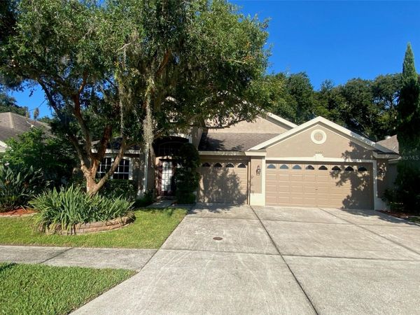 10542 SAN TRAVASO DRIVE , TAMPA, FL 33647
