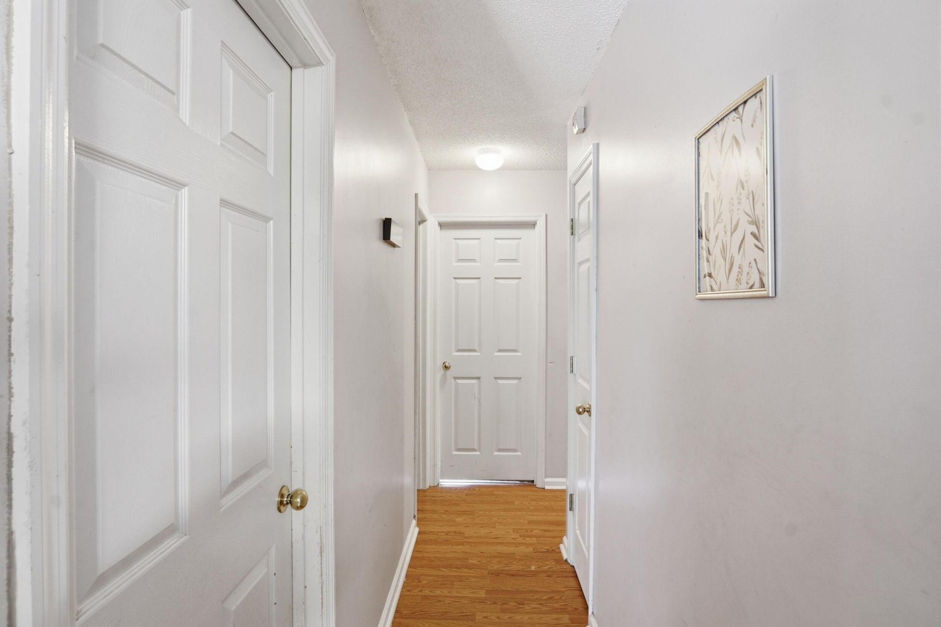 115 Blue Jasmine Lane Photo 6