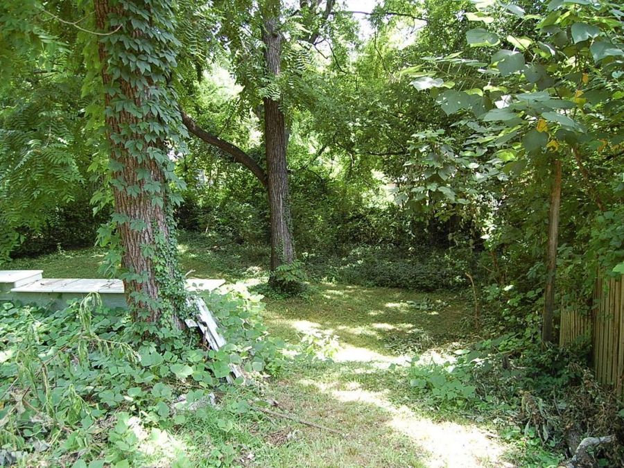 Property Image 44