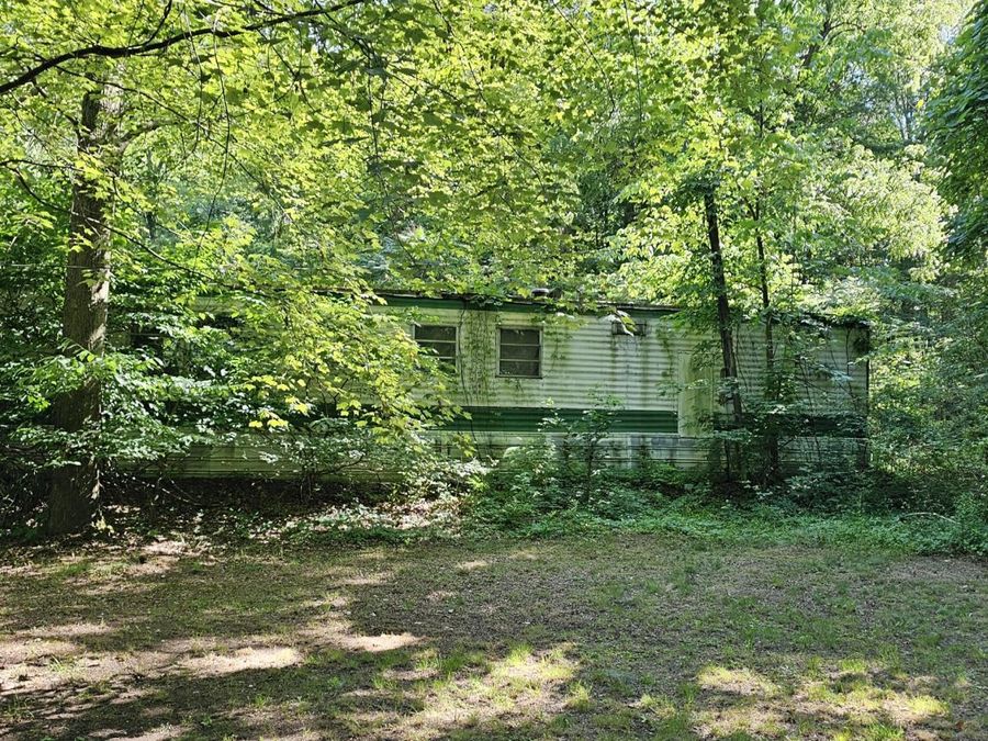 Property Image 13