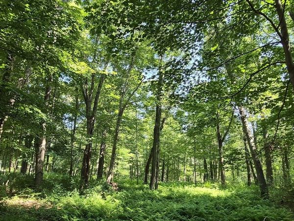 125 Topsfield Rd, Ipswich, MA 01938