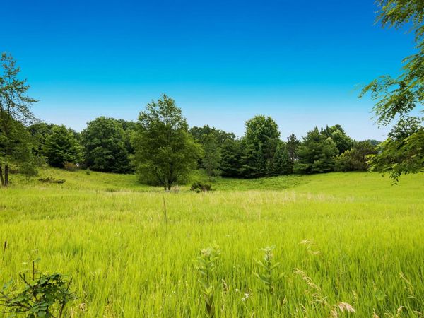 90 Cross Country Trail, Traverse City, MI 49686