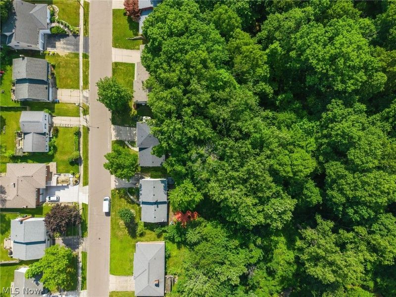 1585 Kingsley Avenue, Akron, OH 44313 Photo 18