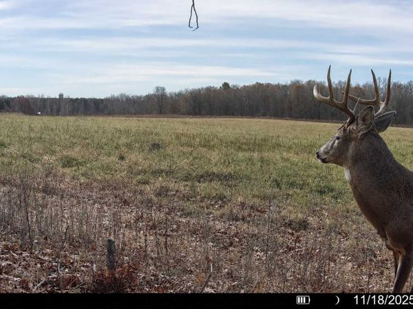 TBD County Road D, Emerald, WI 54013