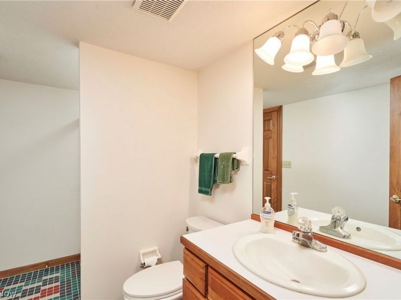 3740 Winterberry Drive, Akron, OH 44333 Photo 39
