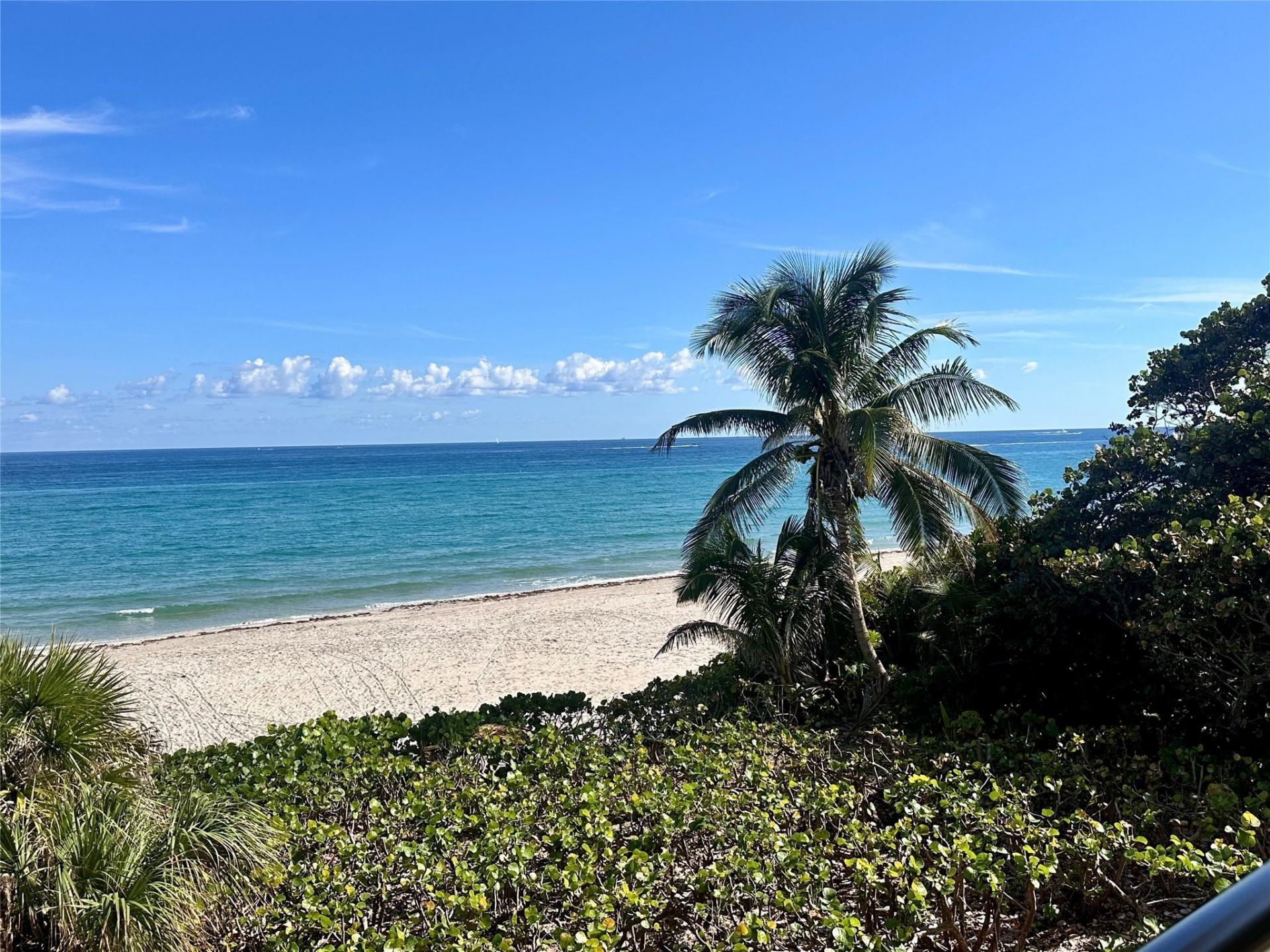 1147 Hillsboro Mile, Unit 214, Hillsboro Beach, FL 33062 Photo