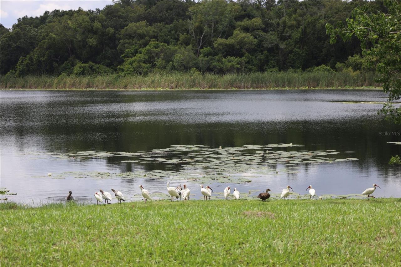 1224 Lake Blue Circle , Apopka, FL 32703 Photo
