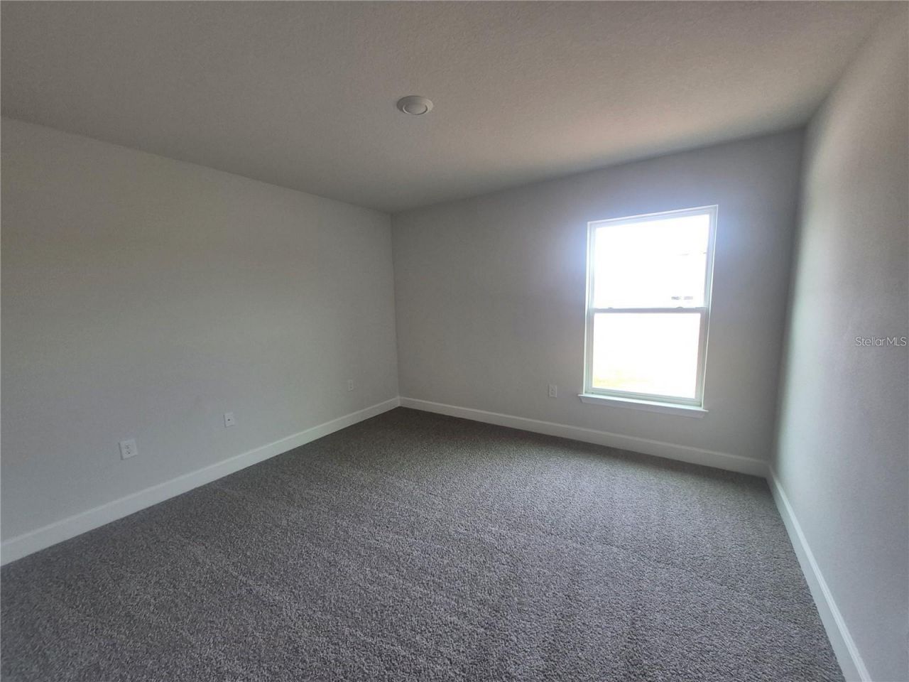 36861 Hidden View Circle, Dade City, FL 33523 Photo