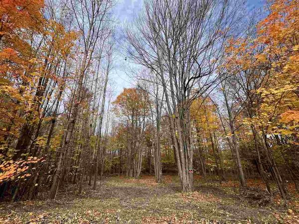6170 Lambert Dr, Alanson, MI 49706