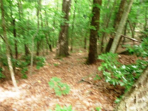 360 Kenmure Drive , Flat Rock, NC 28731