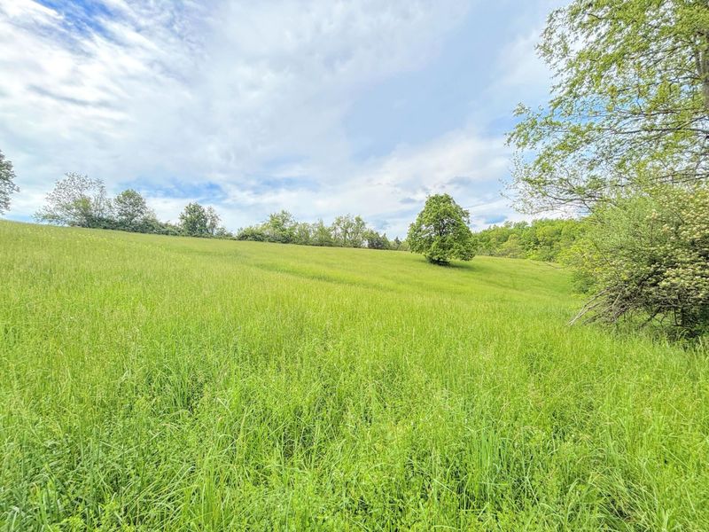 3526 Visalia Road, Morning View, KY 41063 Photo 7