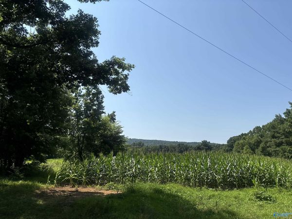 1014 Old Winchester Road, New Market, AL 35761