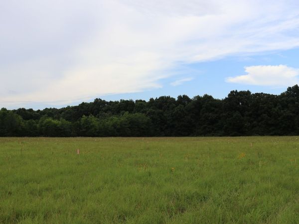 0 Laws Hill Road , Lewisburg, TN 37091