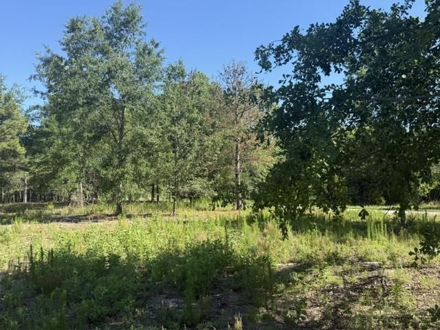 491 Crow Burk Rd Photo 4