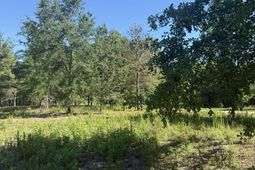 491 Crow Burk Rd photo 4