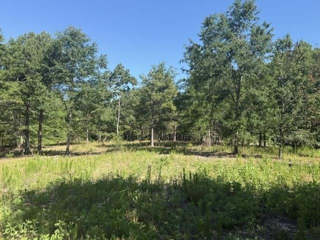 491 Crow Burk Rd Photo 5