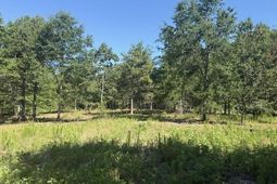 491 Crow Burk Rd photo 4