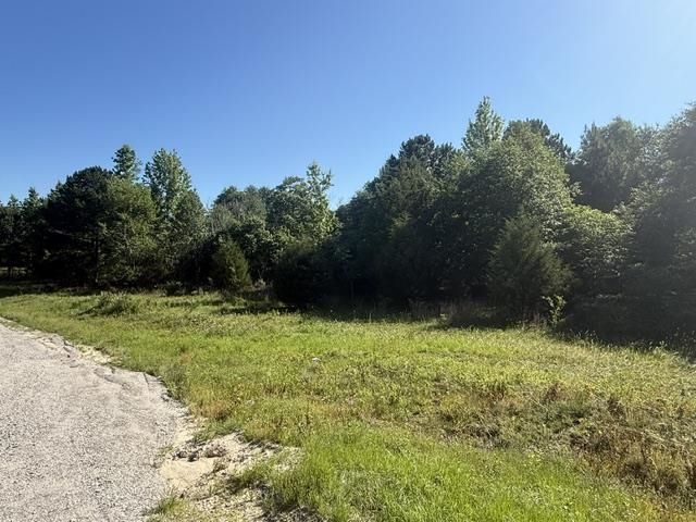 491 Crow Burk Rd Photo 7