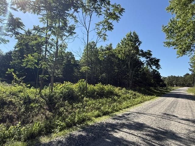 491 Crow Burk Rd Photo 8