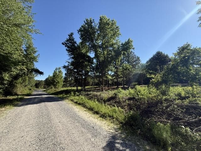 491 Crow Burk Rd Photo 9