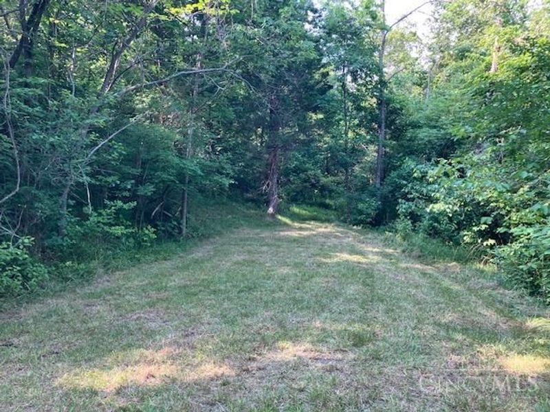 233 Felicity Cedron Rural Road, Franklin Twp, OH 45121 Photo 3