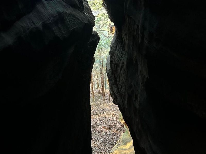 24639 State Route 180, Rockbridge, OH 43149 Photo 3