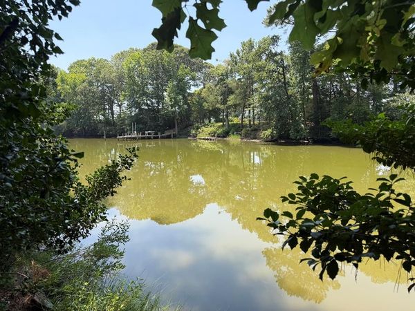 007 Natty Cove Lane, KILMARNOCK, VA 22482