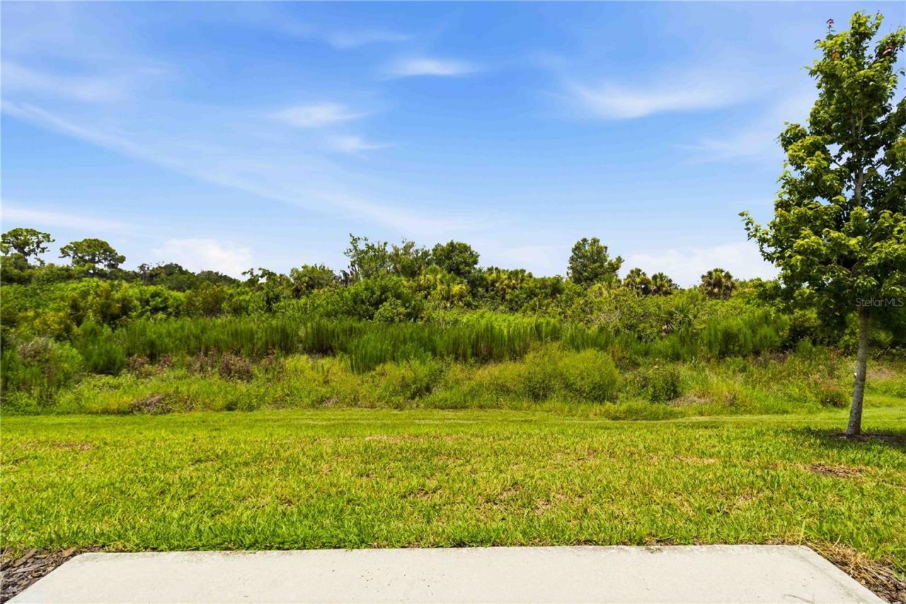 11731 Glenside Terrace , Palmetto, FL 34221 Photo