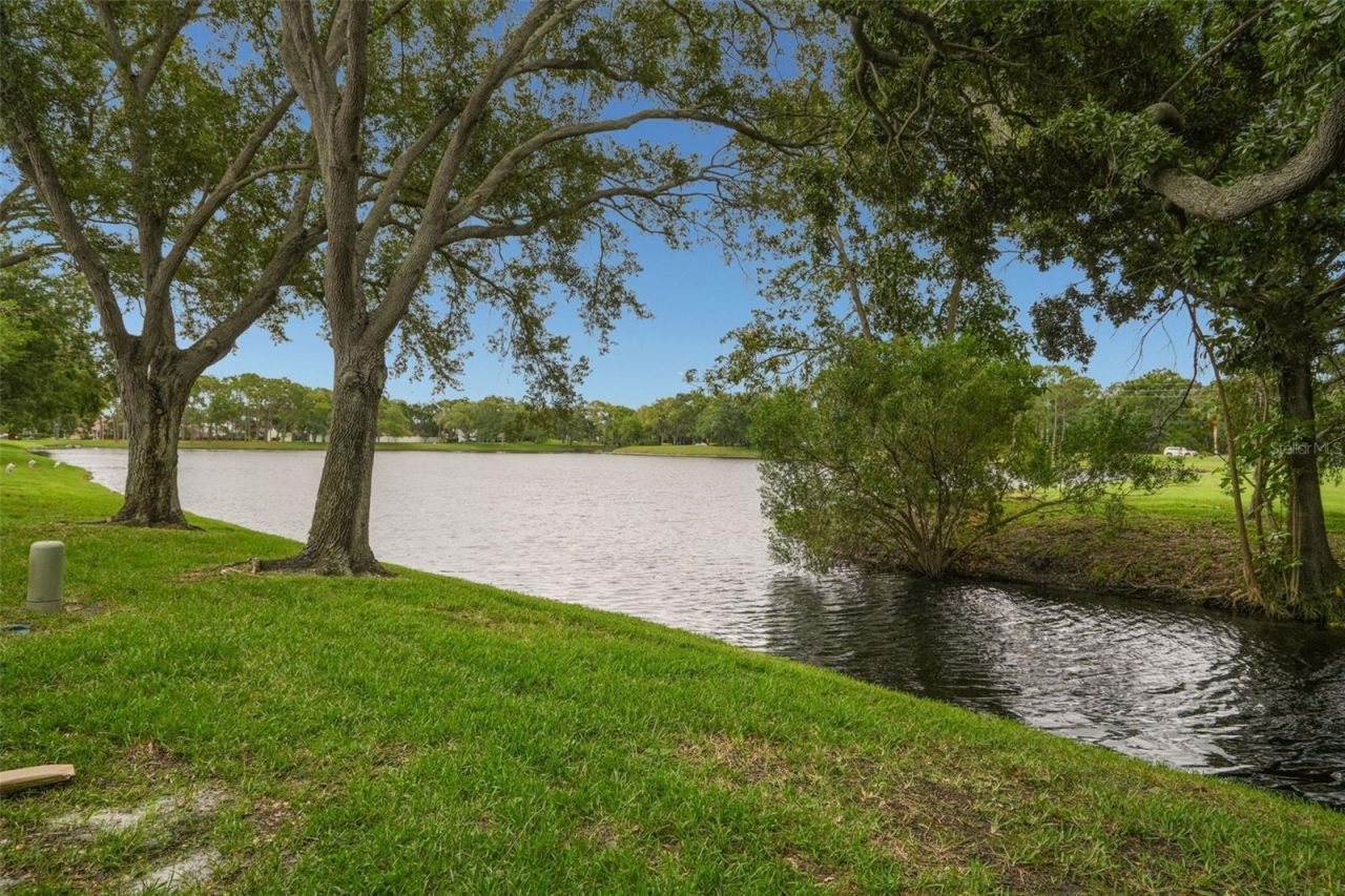 3050 Overlook Place , Clearwater, FL 33760 Photo