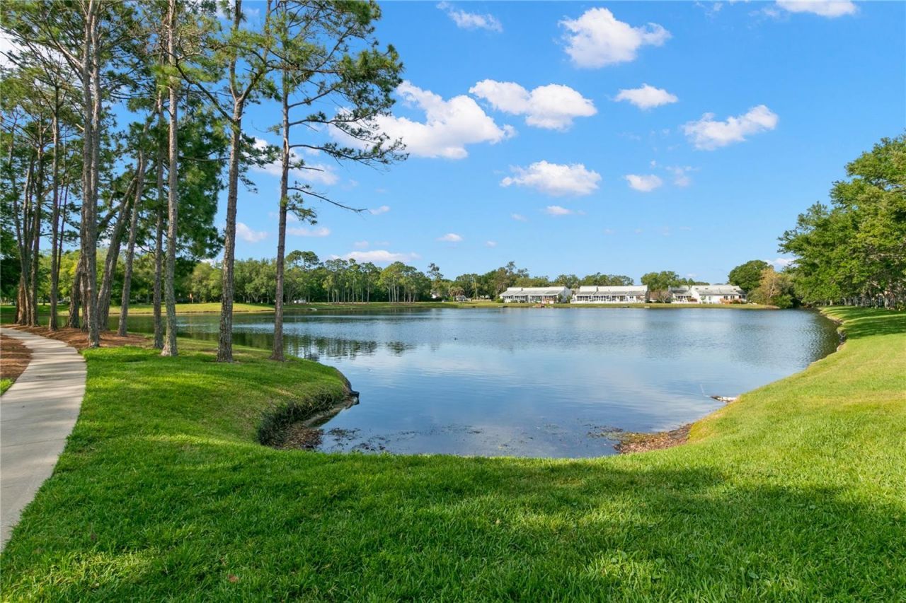 3050 Overlook Place , Clearwater, FL 33760 Photo