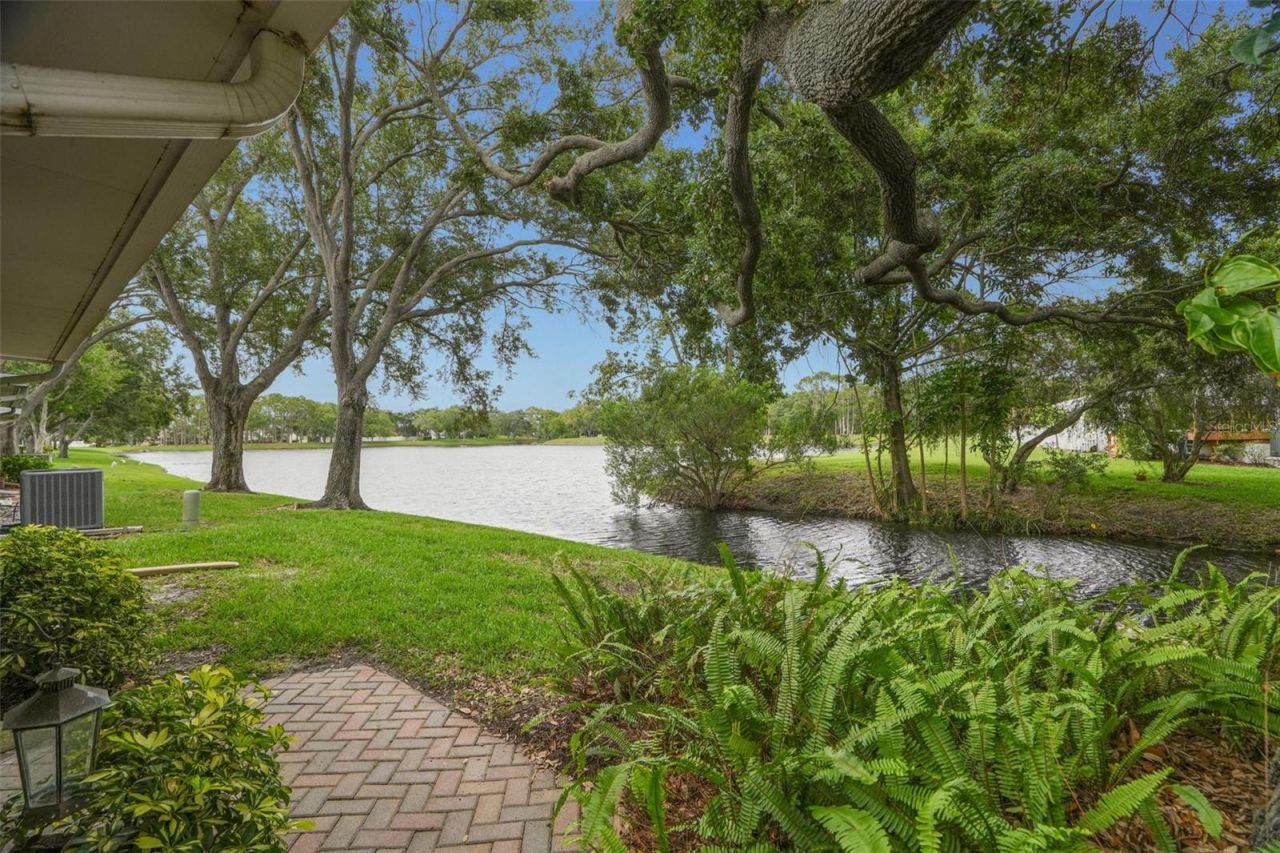 3050 Overlook Place , Clearwater, FL 33760 Photo